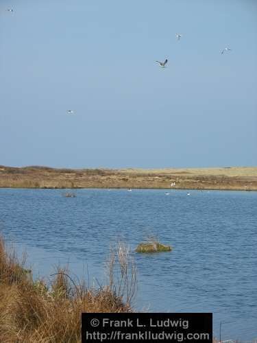 Inishmurray